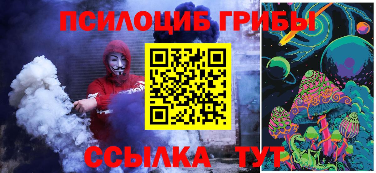 Галлюциногенные грибы Psilocybine cubensis Белорецк